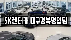 SK렌터카 대구경북영업팀