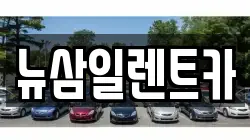 뉴삼일렌트카