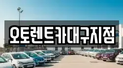 오토렌트카대구지점