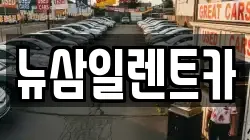 뉴삼일렌트카