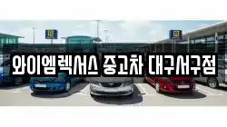 와이엠렉서스 중고차 대구서구점