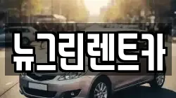 대구 서구 중리동 렌트카,단기렌트카,장기렌트카,중고차,중고차매매,중고차매입