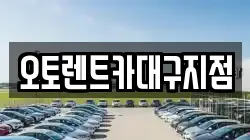 오토렌트카대구지점