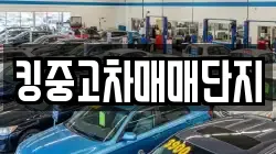 킹중고차매매단지
