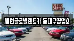 새한글로벌렌트카 동대구영업소