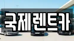 국제렌트카