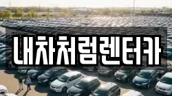 내차처럼렌터카