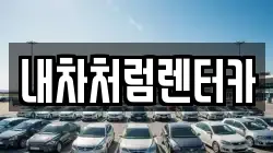 대구 수성구 이천동 렌트카,단기렌트카,장기렌트카,중고차,중고차매매,중고차매입