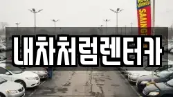 대구 수성구 중동 렌트카,단기렌트카,장기렌트카,중고차,중고차매매,중고차매입