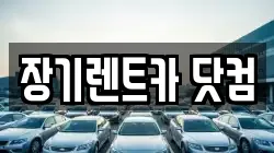 장기렌트카 닷컴