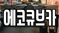 에코큐브카