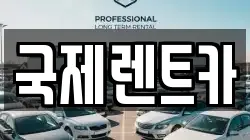 국제렌트카
