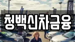청백신차금융