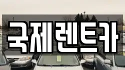 국제렌트카