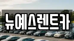 대구 수성구 황금동 렌트카,단기렌트카,장기렌트카,중고차,중고차매매,중고차매입