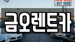 금오렌트카