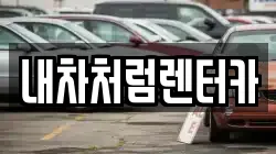 내차처럼렌터카