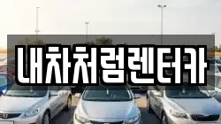 내차처럼렌터카