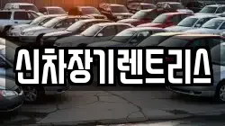 신차장기렌트리스