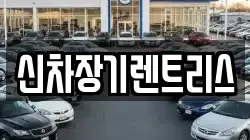 신차장기렌트리스