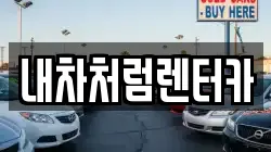 내차처럼렌터카