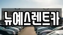 대구 중구 대신동 렌트카,단기렌트카,장기렌트카,중고차,중고차매매,중고차매입