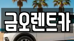 금오렌트카