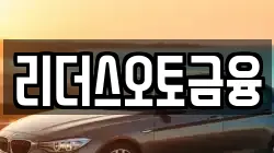 리더스오토금융