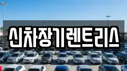 신차장기렌트리스