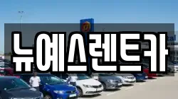 대구 중구 동성로1가 렌트카,단기렌트카,장기렌트카,중고차,중고차매매,중고차매입