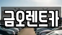 대구 중구 동성로2가 렌트카,단기렌트카,장기렌트카,중고차,중고차매매,중고차매입
