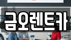 금오렌트카