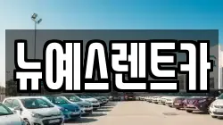 대구 중구 문화동 렌트카,단기렌트카,장기렌트카,중고차,중고차매매,중고차매입