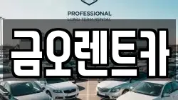 대구 중구 북성로1가 렌트카,단기렌트카,장기렌트카,중고차,중고차매매,중고차매입