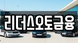 리더스오토금융