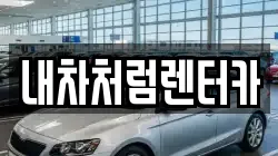 대구 중구 삼덕동1가 렌트카,단기렌트카,장기렌트카,중고차,중고차매매,중고차매입