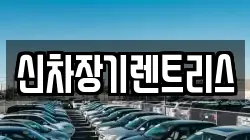 신차장기렌트리스