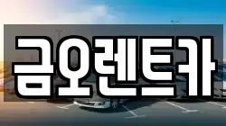금오렌트카