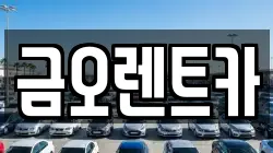 금오렌트카