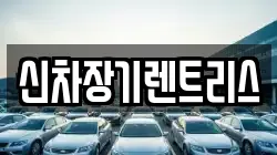 신차장기렌트리스
