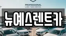대구 중구 서문로1가 렌트카,단기렌트카,장기렌트카,중고차,중고차매매,중고차매입