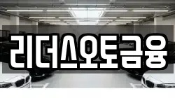 리더스오토금융