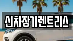 신차장기렌트리스