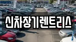 신차장기렌트리스
