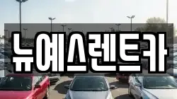 대구 중구 종로1가 렌트카,단기렌트카,장기렌트카,중고차,중고차매매,중고차매입