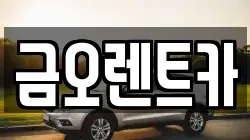 대구 중구 태평로3가 렌트카,단기렌트카,장기렌트카,중고차,중고차매매,중고차매입