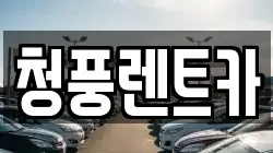 청풍렌트카