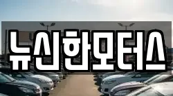 뉴신한모터스
