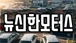 뉴신한모터스