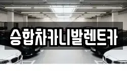 승합차카니발렌트카